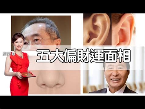 豬膽鼻 面相|面相解析何為懸膽鼻